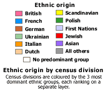 Ethnic Orgin 40